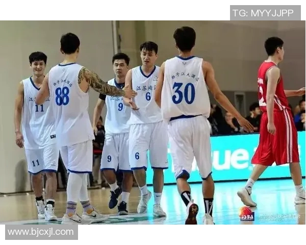 杭州篮球队总决赛精彩表现分析与实力评估