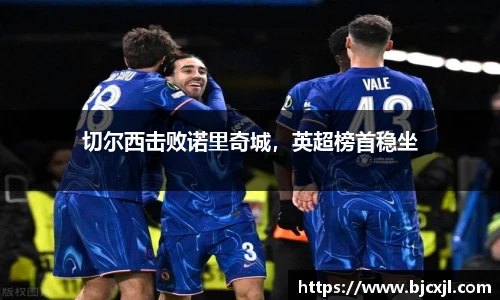 切尔西击败诺里奇城，英超榜首稳坐